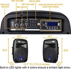 Reck Audio Dance 12 Portable Powered PA Speaker System 12-Inch 1000 Watts