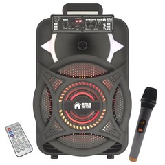 EMB PKL12BT 1000w 12″ Trolley Speaker with AUX, Lights, FM, USB with Bluetooth