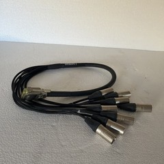 JUMPERZ JDB25-XLRF DB25 to XLR Female 8-ch. Audio Snake/Multicore Cable-3 Foot