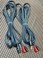 Lot of 2 D’Addario Planet Waves 10′ Banana to 1/4 (6.35mm) Plug Speaker Cable