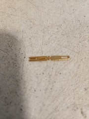 100 New Elco EDAC Solder Type Pins for 56 90 & 120 Gold Pin Connectors 516 8016