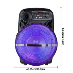 15″ Woofer Portable Party Bluetooth Speaker w/LED Lights Stand Wireless Mic FM