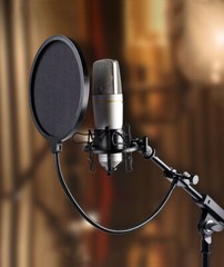 5″ Microphone Wind Screen Mask Gooseneck Filter Studio Tool Double Layer Screen