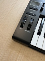 Novation Launchkey 25 MK3 25-Key MIDI Keyboard Controller W/ USB Read