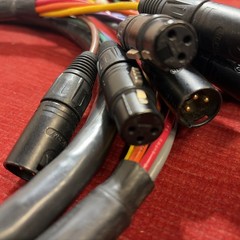 8PR24 8 Channel Digital Audio Snake Cable Black – (5 Feet)