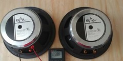 BELISLE ACOUSTIC LABORATORIES TRANSPARENCE 12 mb 800 WOOFER CANADA RARE
