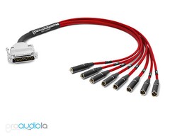 Premium DB25 D-SUB Snake Mogami 2932 | Neutrik Rean Mini XLR-Male | Red 40 ft.
