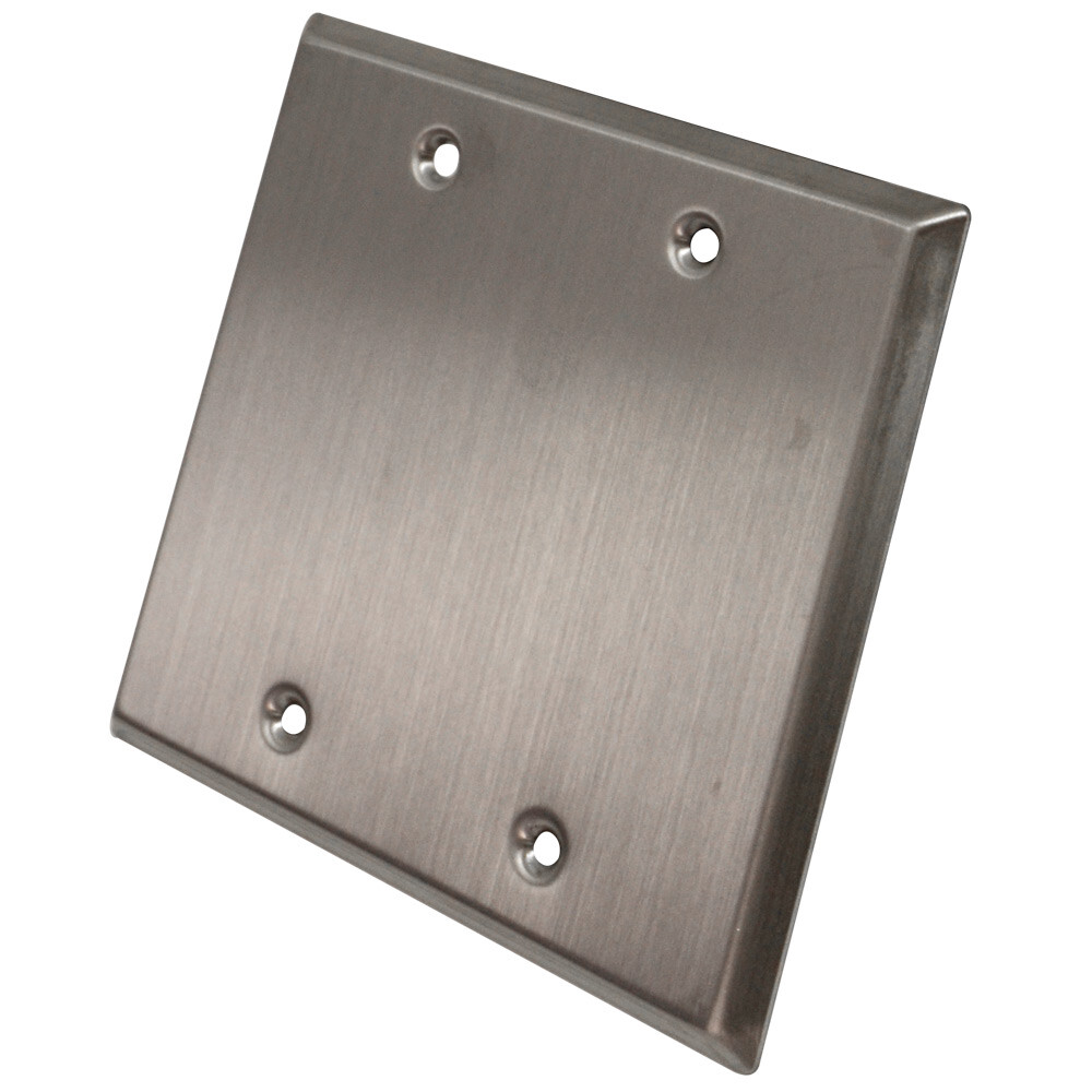 Seismic Audio Blank Stainless Steel 2 Gang Wall Plate – For Cable Installation