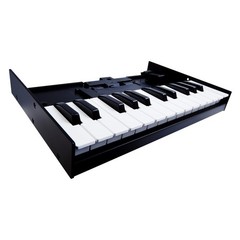 Roland K-25m Boutique 25-Key MIDI Keyboard Unit Japan