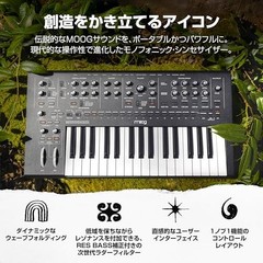 MOOG Messenger Monophonic Analog Keyboard Synthesizer with 32 Keys 64-Step