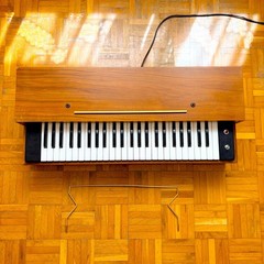 Super Rare Farfisa Reed Pumped Air Organ (Italy, 1950s) Vintage Electric Organ!
