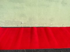 9FT 3×9 Red Carpet #2343 (One)THS