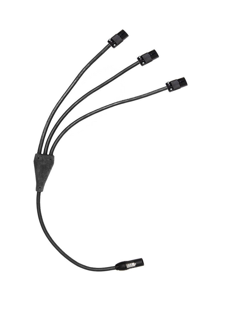 Power Cable 1 True1 Male to Fanout 3 Edison Female Connectors 12 AWG 30 ft