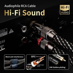 Audiophile 6.56ft HiFi Audio Cable–RCA to XLR ,2Pack,4N OFC Core,Gold-Plated …