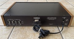 RG Pro 20 Dynamic Processor (Richard Burwen) – Tested – AS-IS – SEE DESCRIPTION
