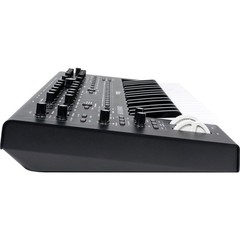 Moog Messenger Monophonic Analog Synthesizer BASIC CABLE KIT