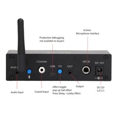 Digital Reverberator Stereo Amplifier Bluetooth 5.0 Dual Microphone Input WT