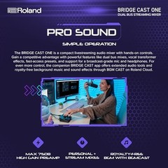 Roland BRIDGE CAST ONE Gaming DAC Amplifier Audio Interface BRC-ONE [NEW] TI