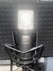 Rode NT1 Signature Series Studio Condenser Microphone (Black)