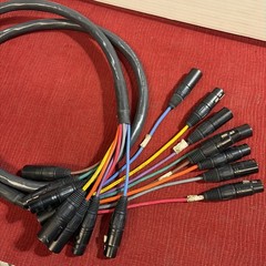8PR24 8 Channel Digital Audio Snake Cable Black – (5 Feet)