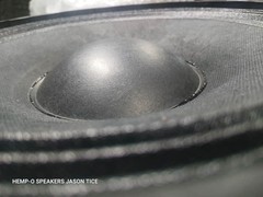 10″ BASS SPEAKER FOUR OHMS 4 OHMS #25BMF-SC-4 HEAVY DUTY UPGRADE AMPEG KUSTOM FE