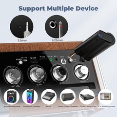 Wireless Microphones, Professional UHF Dual Microphones for Karaoke, Wireless…