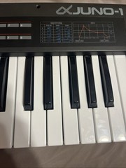 Roland Alpha Juno 1 Legendary Synth READ DESCRIPTION!