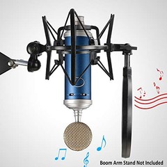 Shock Mount with Pop Filter & Windscreen for Bluebird SL Microphone – Vibration