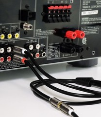 FosPower RCA Y-Adapter (6 Feet), 1 Male to 2 Y 6 Feet, 06 FT