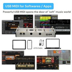Paint Audio MIDI Captain Foot Controller with Dual Outputs Expression Silver
