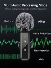 Wireless Lavalier Microphone, Noise Cancelling Lapel Recording Entry-Level 2 …
