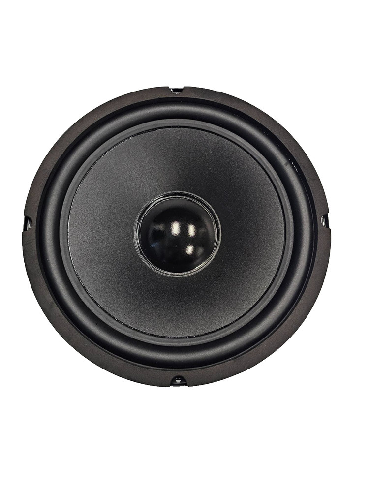 Goldwood Sound GW-1038 10″ 8 Ohm Woofer Speaker Driver 30 oz Magnet NEW