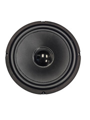 Goldwood Sound GW-1038 10″ 8 Ohm Woofer Speaker Driver 30 oz Magnet NEW