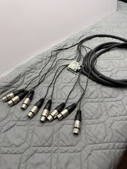 Redco TGS-8 12’ DB25 to 8 XLR Female Audio Snake Cable Neutrik Connectors