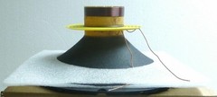 Eighteen Sound /18 Sound R10MB600 Original Recone Kit for 10MB600 10″ Speaker