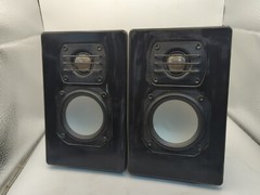 Blue Sky EXO Speakers 120v ROHS Pair