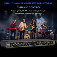 Professional Channel Audio Compressor Dynamic Processor with Noise Gate &