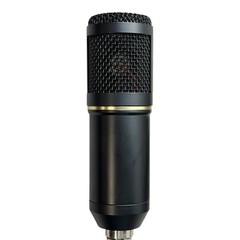 Zingyou BM-800 Condenser Microphone Bundle with Boom Arm Pop Filter Shock Mount
