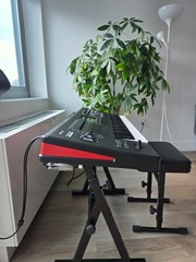 Roland Fantom 6EX 61 key Synthesizer Keyboard