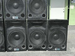 (2) Meyer Sound UPA-1C Passive 2-way Loudspeaker #7079 (TRUEHEARTSOUND)