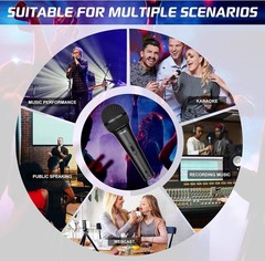 Karaoke Microphone for Singing, Dynamic Microphone, Vocal Microphone with On …