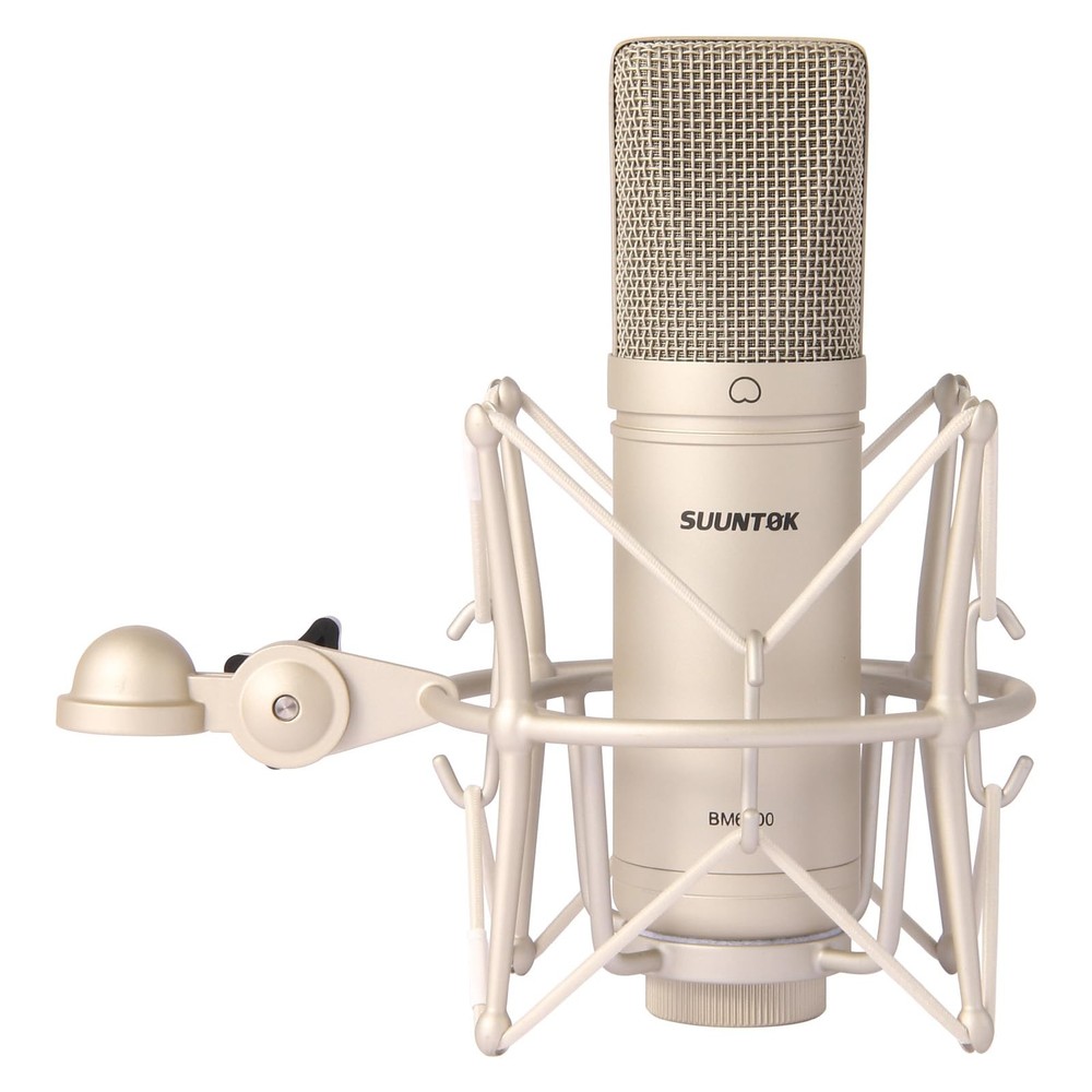 Condenser Microphone XLR, Large Diaphgram Professional Recording Cardioid Microp
