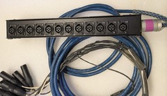 Whirlwind Medusa Mini 12 Low Profile Audio Drop Snake 25 ft – Black
