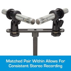 Samson Pencil Condenser Microphones, Silver (SAM C02PR)