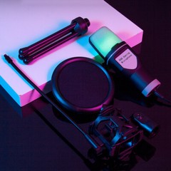 Microphone Mic Kit Broadcasting Singing Studio Recording Condenser USB PC Laptop