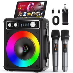 Karaoke Machine with 2 Wireless Mics, Bluetooth 5.2, 6.5″ Subwoofer – Perfect