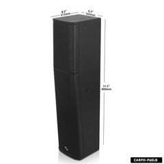 Sound Town Passive Wall-Mount Column Line Array Speaker 4×5″ Black (CARPO-P6SLB)