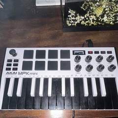 Used Akai MPK mini MPKmini 25-Key Mini MIDI Controller USB Arp Display w/ Box
