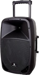 PRORECK Freedom 15 Loudspeaker 800W Portable Trolley DJ Stage Gig Wireless Mic