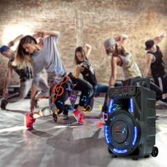 Portable Bluetooth Speaker 12″ Subwoofer Heavy Bass Sound Party System W/ Mic FM
